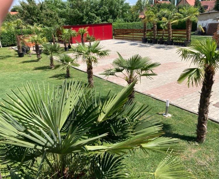 Roze Vendeghaz Hotel Villány Exterior photo